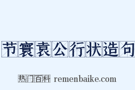节寰袁公行状造句是什么意思的图片